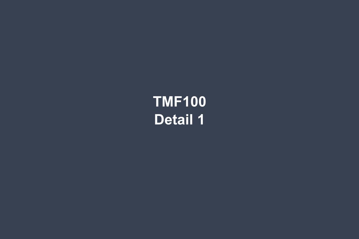 TMF100 Insertion Type Thermal Mass Flow Meter - image 2