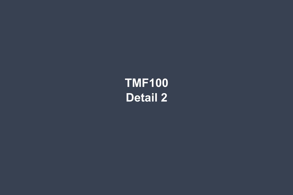 TMF100 Insertion Type Thermal Mass Flow Meter - image 3