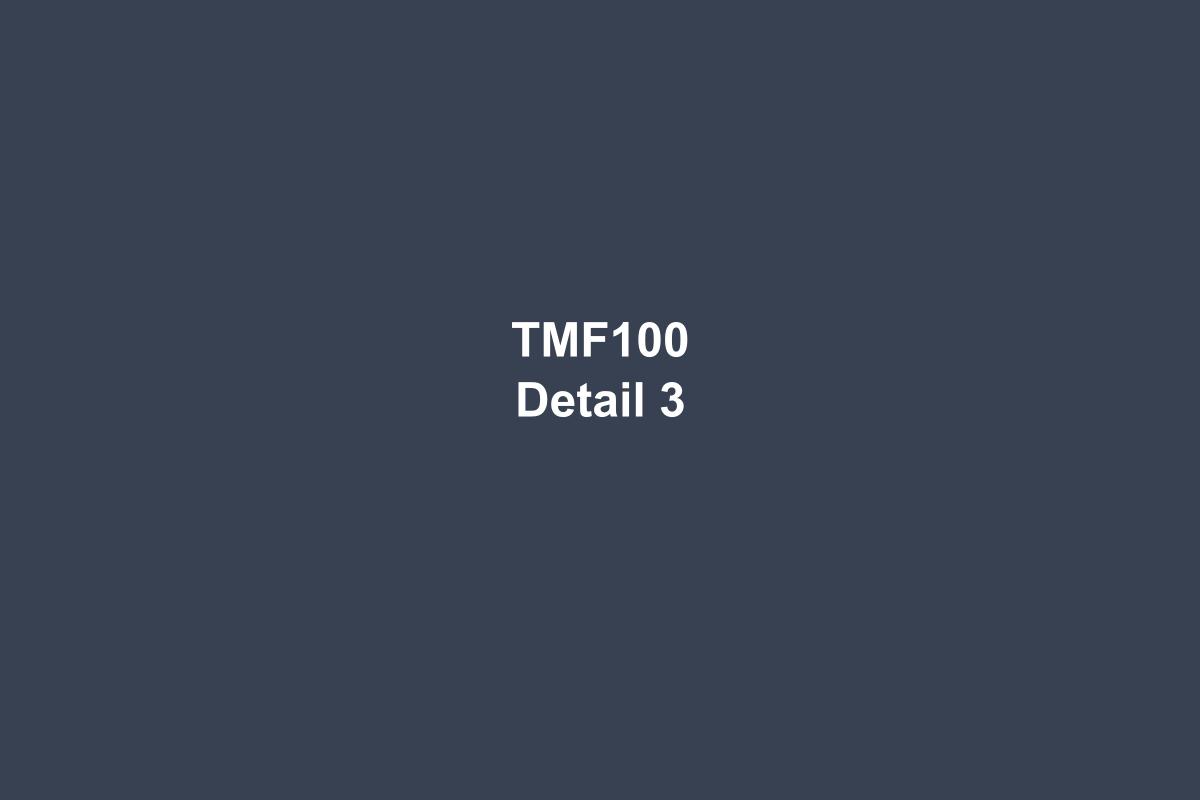 TMF100 Insertion Type Thermal Mass Flow Meter - image 4