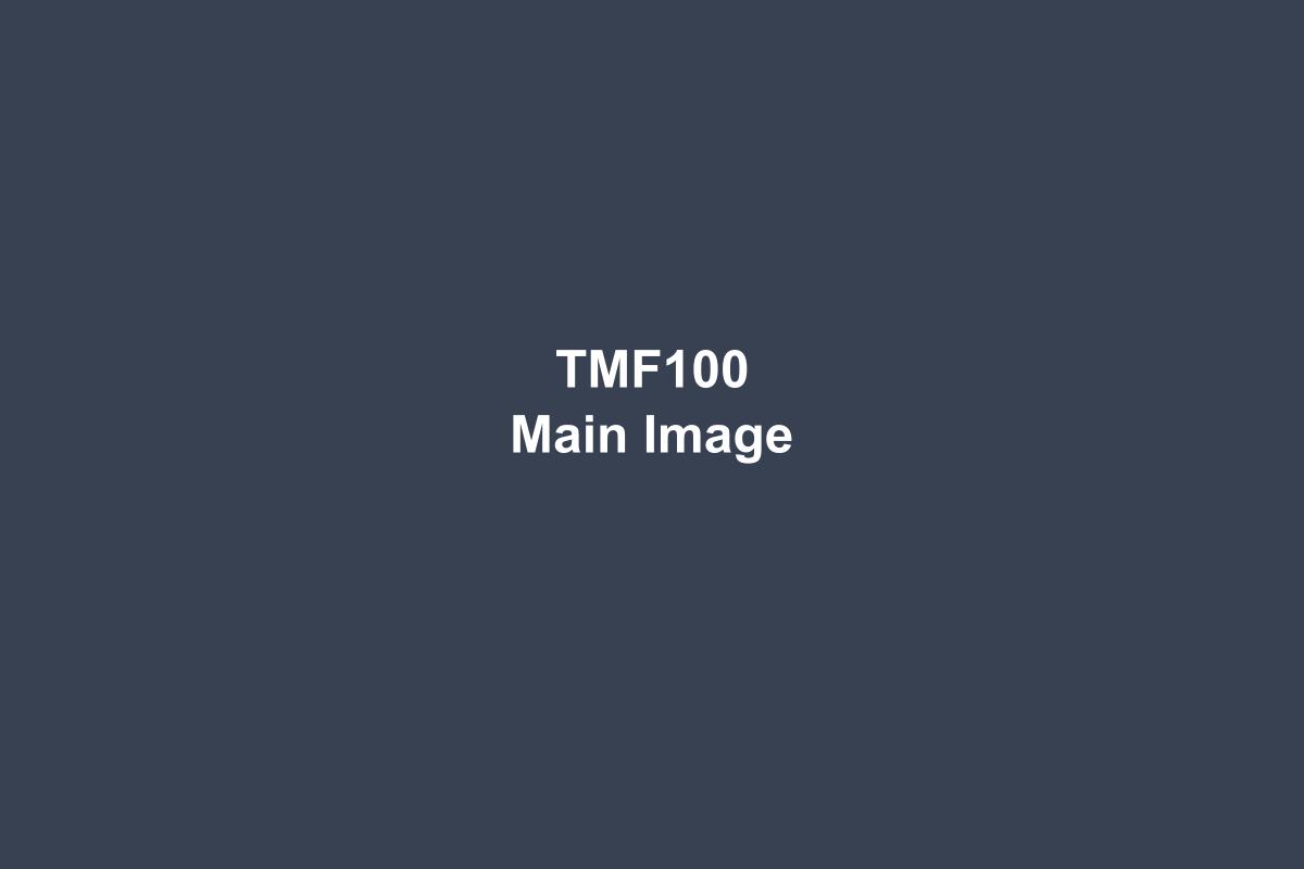 TMF100 Insertion Type Thermal Mass Flow Meter