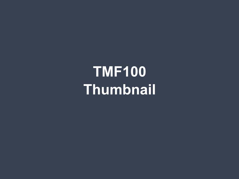TMF100 Insertion Type Thermal Mass Flow Meter